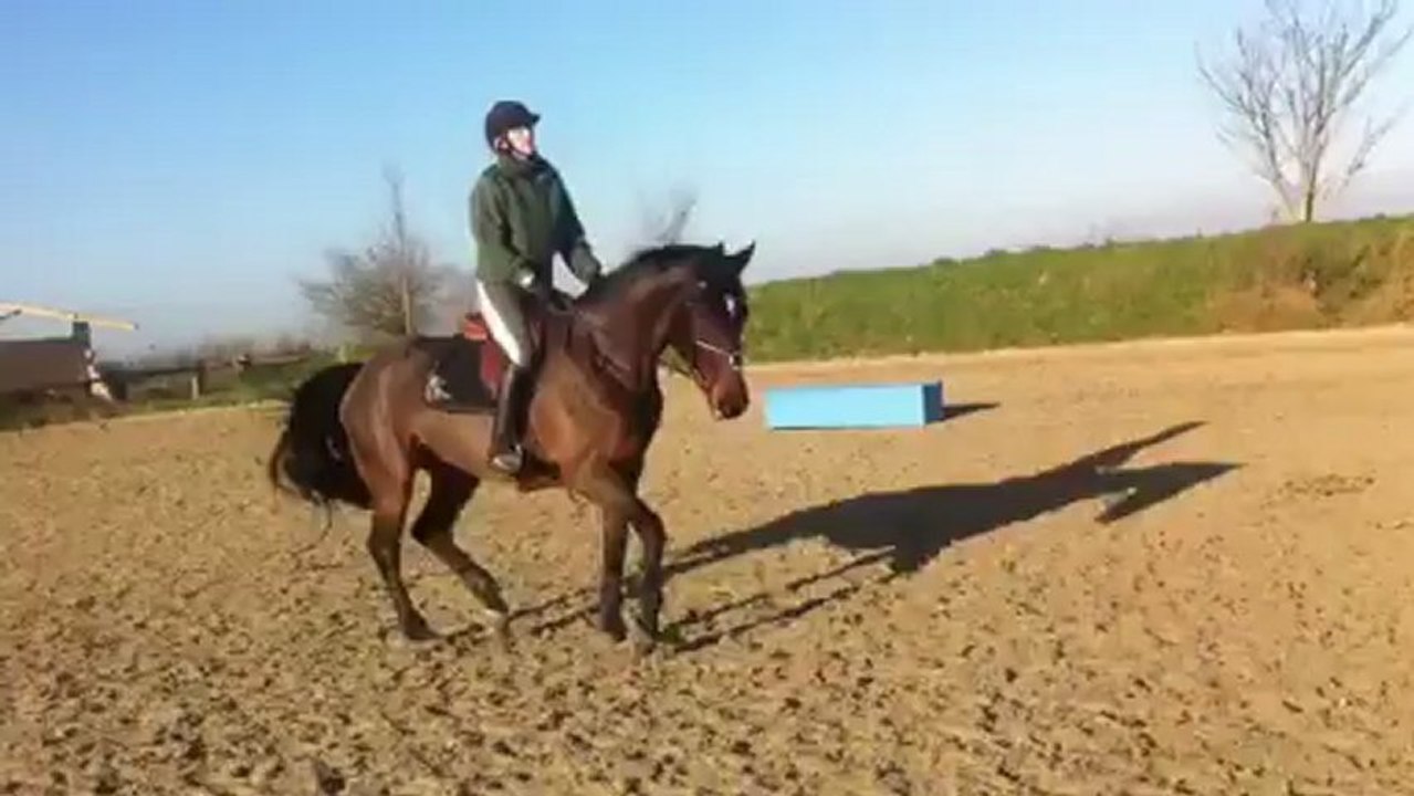 Presto plat 2