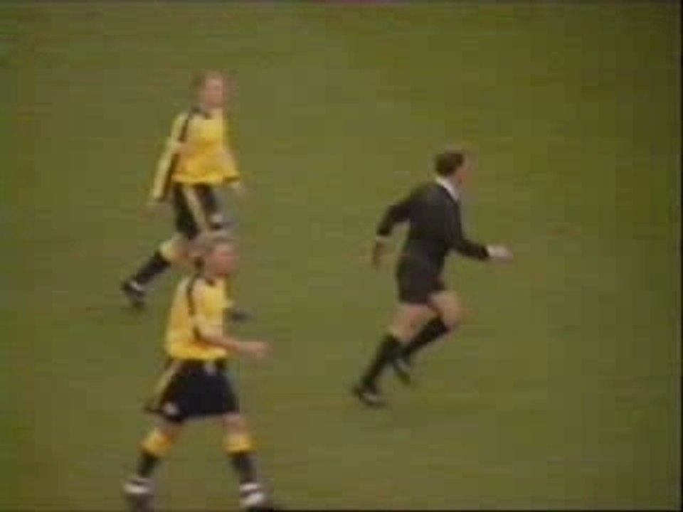 Calcio - Arbitro Stupido