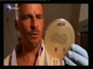Antibioticos reptilianos: El sistema inmunitario del cocodrilo