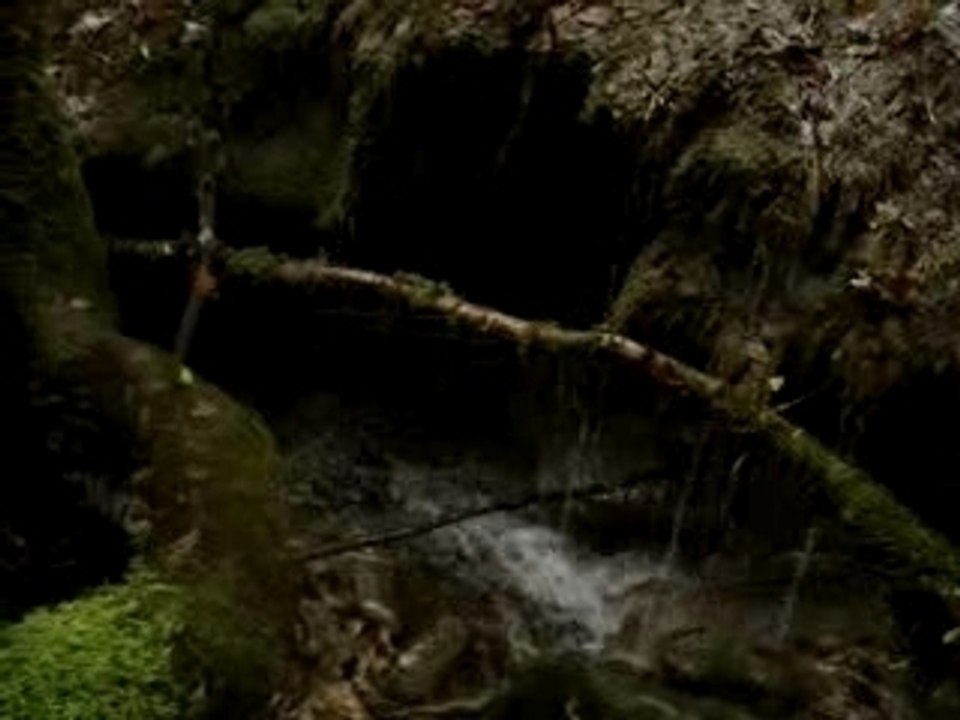 Avant goufre de la Fouge 1