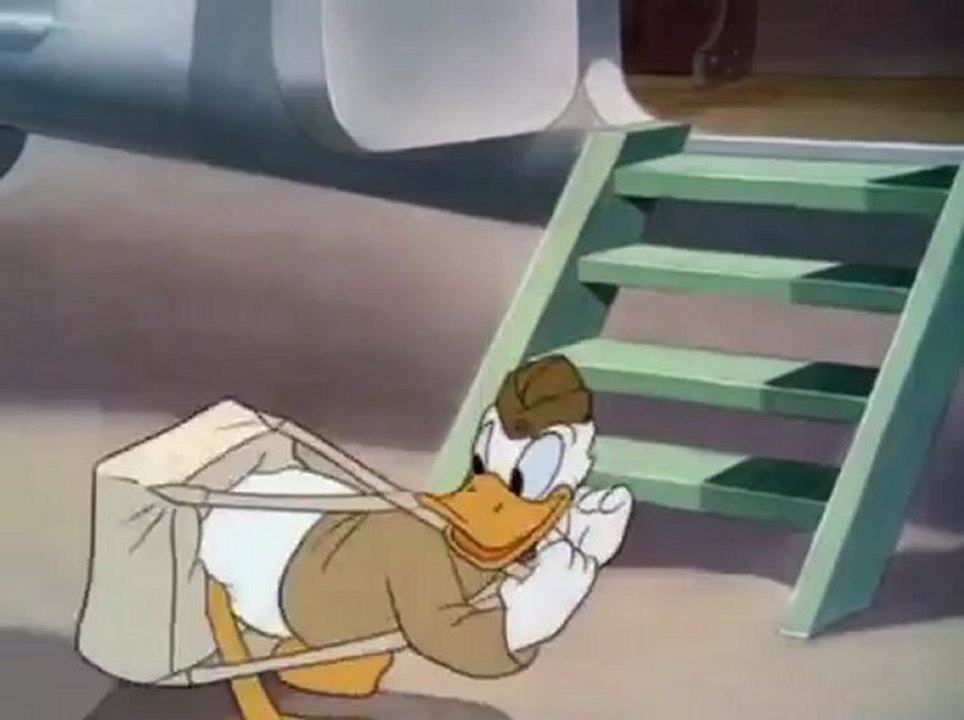 27. D_Duck