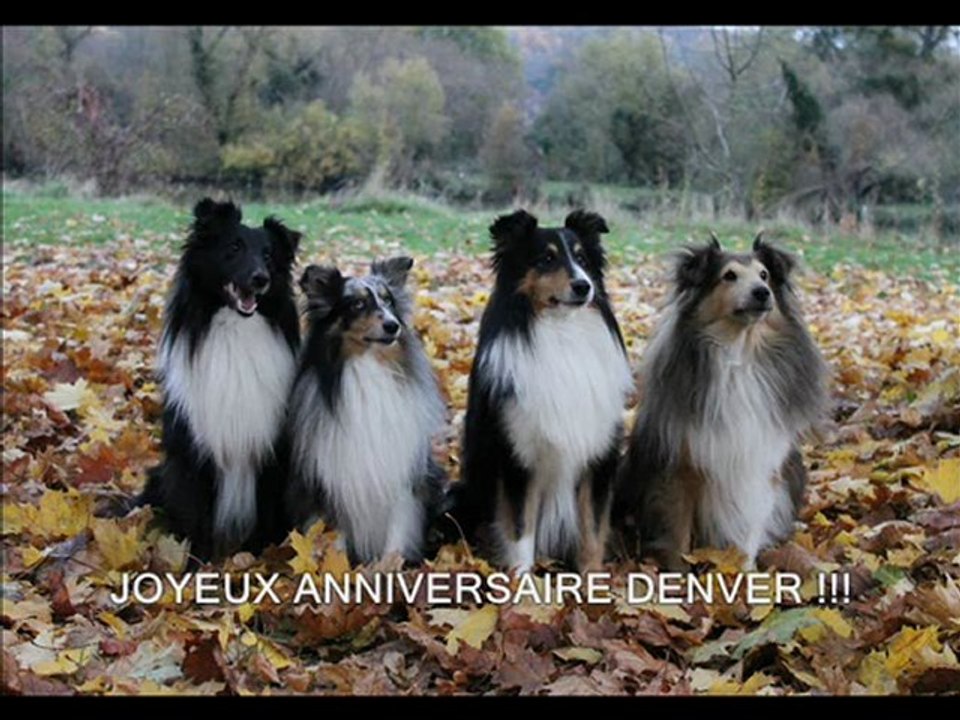 Anniv' denver
