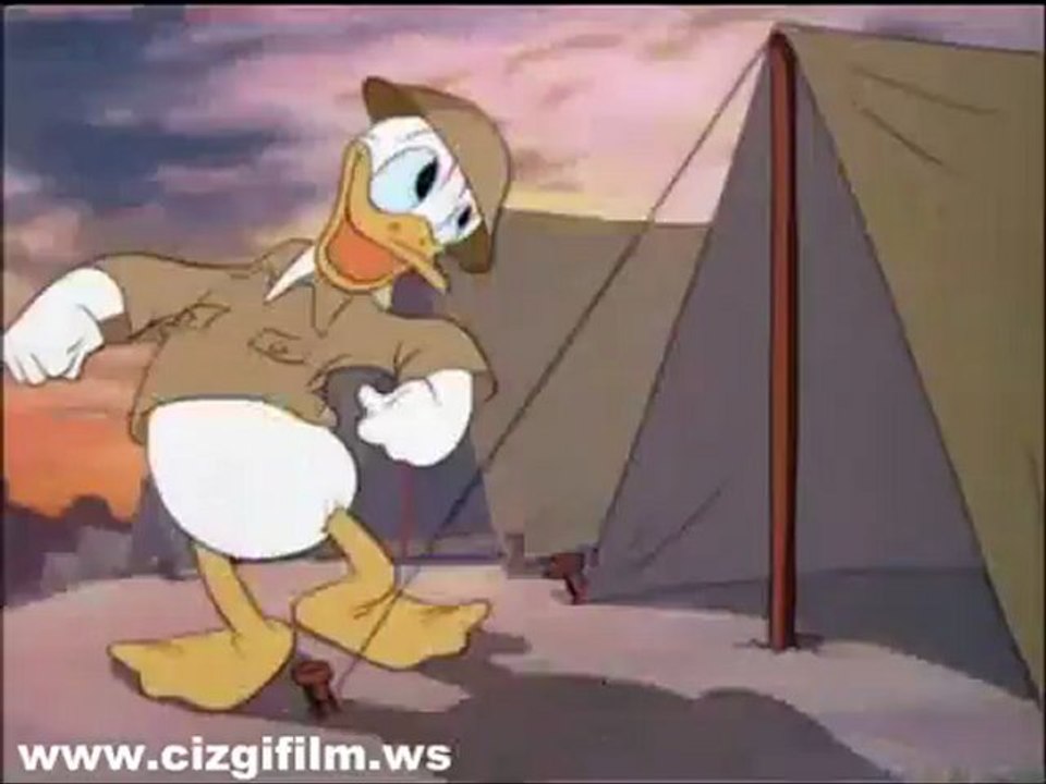 33. d_duck