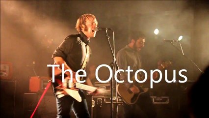 The Octopus - live@Transmusicales Rennes 2012