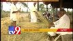 Krishna delta Farmers suffer as leaders spar over water
