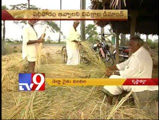 Krishna delta Farmers suffer as leaders spar over water