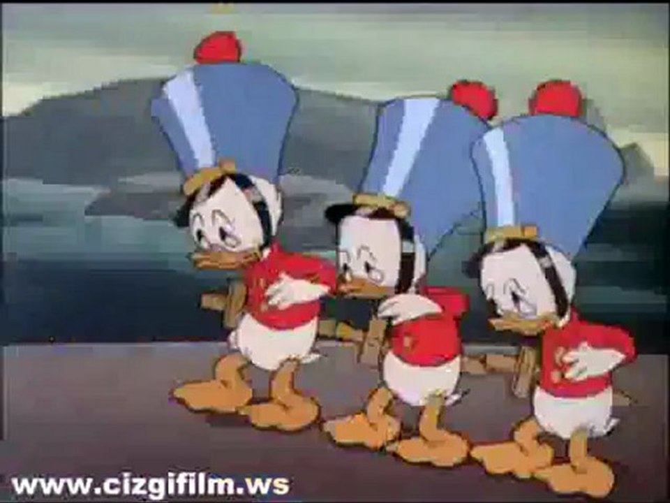 39. d_duck