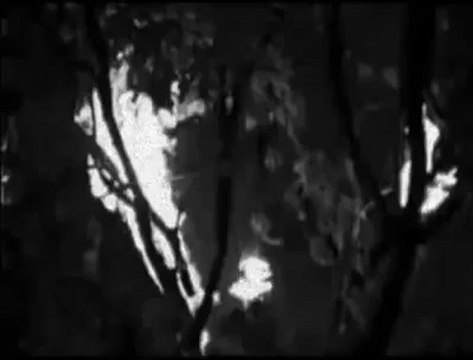 Kahraman Tazeoğlu - Gelirsem Biter Aşk