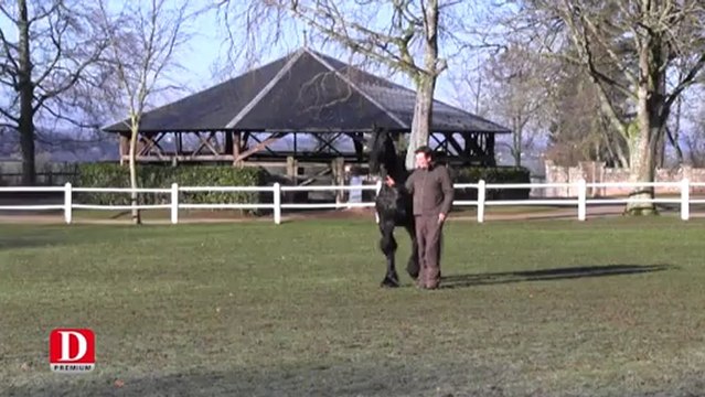 Jean-Claude Adelin adapte Mademoiselle Julie au haras de Rodez