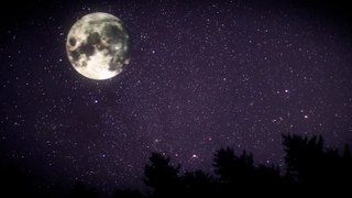 Me or the Moon - Matthew Shelton (with Nora Barton) - Video clip