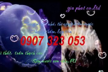 Cty Sửa Chữa Nhà Rẻ Tại Quận 7 hcm call 0907 323 053