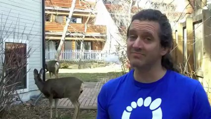 Zayıflama Ayakkabıları işe Yarıyor Mu