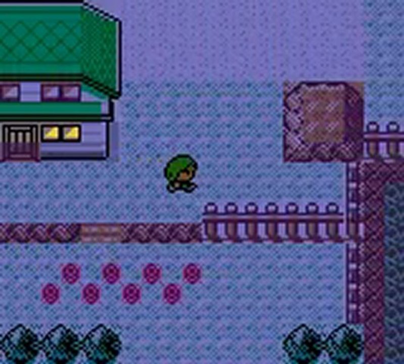 Zayıflama Ayakkabısı Forum