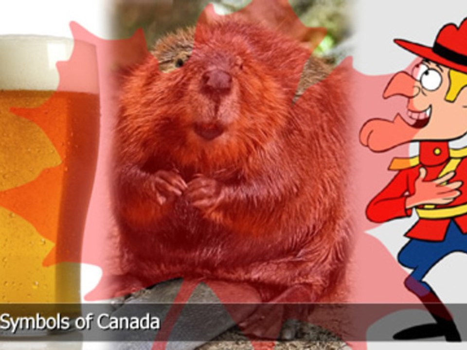 Top 10 Symbols of Canada