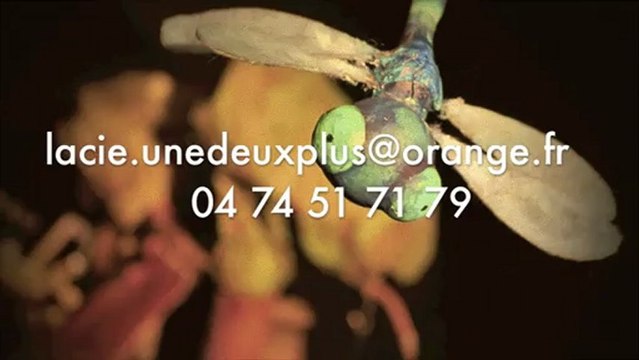 anatole, spectacle de marionnettes sur table