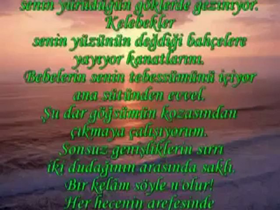ADINI DAĞLARA YAZDIM