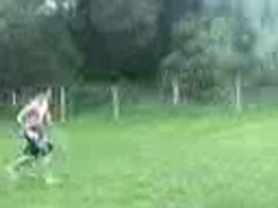 drt