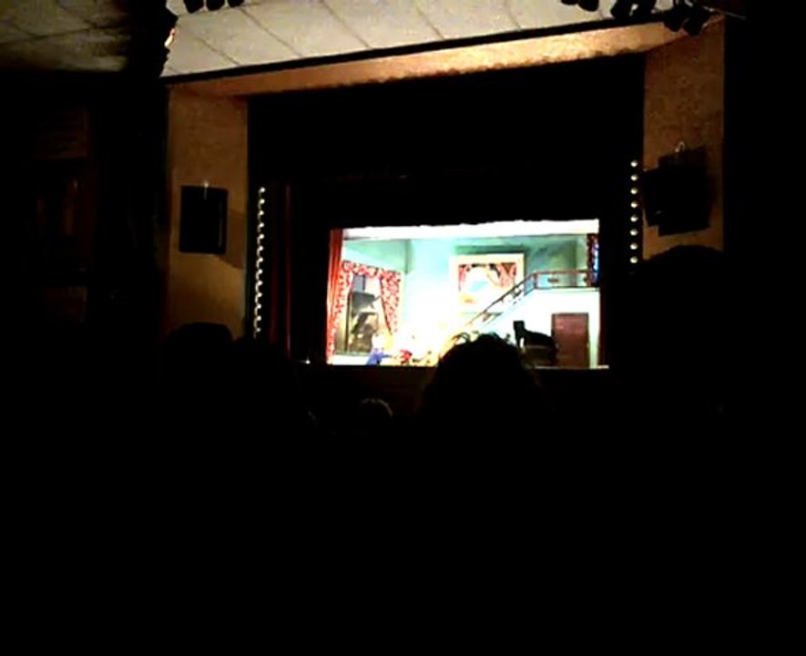 Spectacle de marionnettes (Pinocchio) au jardin du Luxembourg