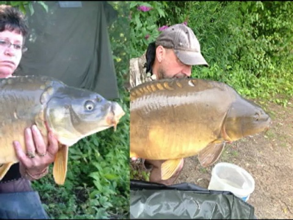 saisons 2012 alain78