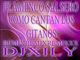 FLAMENCO SALSERO COMO CANTAN LOS GITANOS MIXX DJXILY