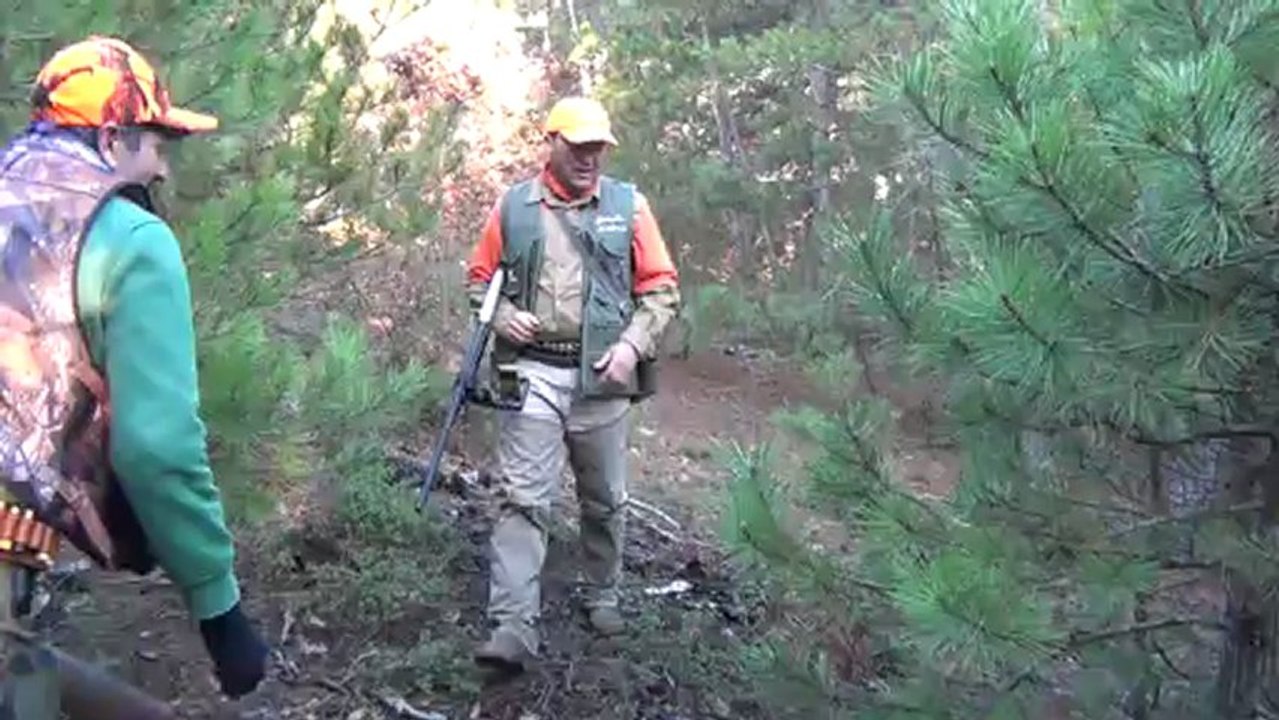 ŞEF....ÇULLUK AVINDA TAVŞAN FERMA....