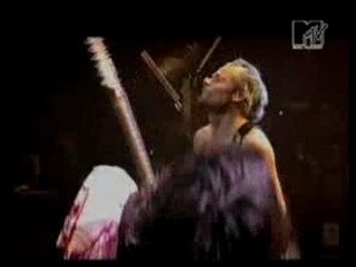 Red Hot Chilli Peppers - By the way