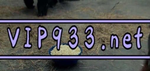 바카라 ▶vip933.net◀ 플레이텍 월드카지노 ∮※☎ 로얄카지노