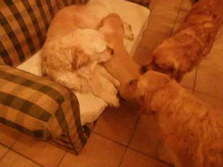 hermes et les grands