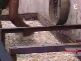 Les alchimistes de Bombay