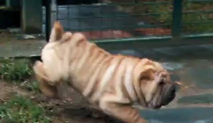 HAINAN HOKKAIDO SKYWAY HACKER DES MING WAY