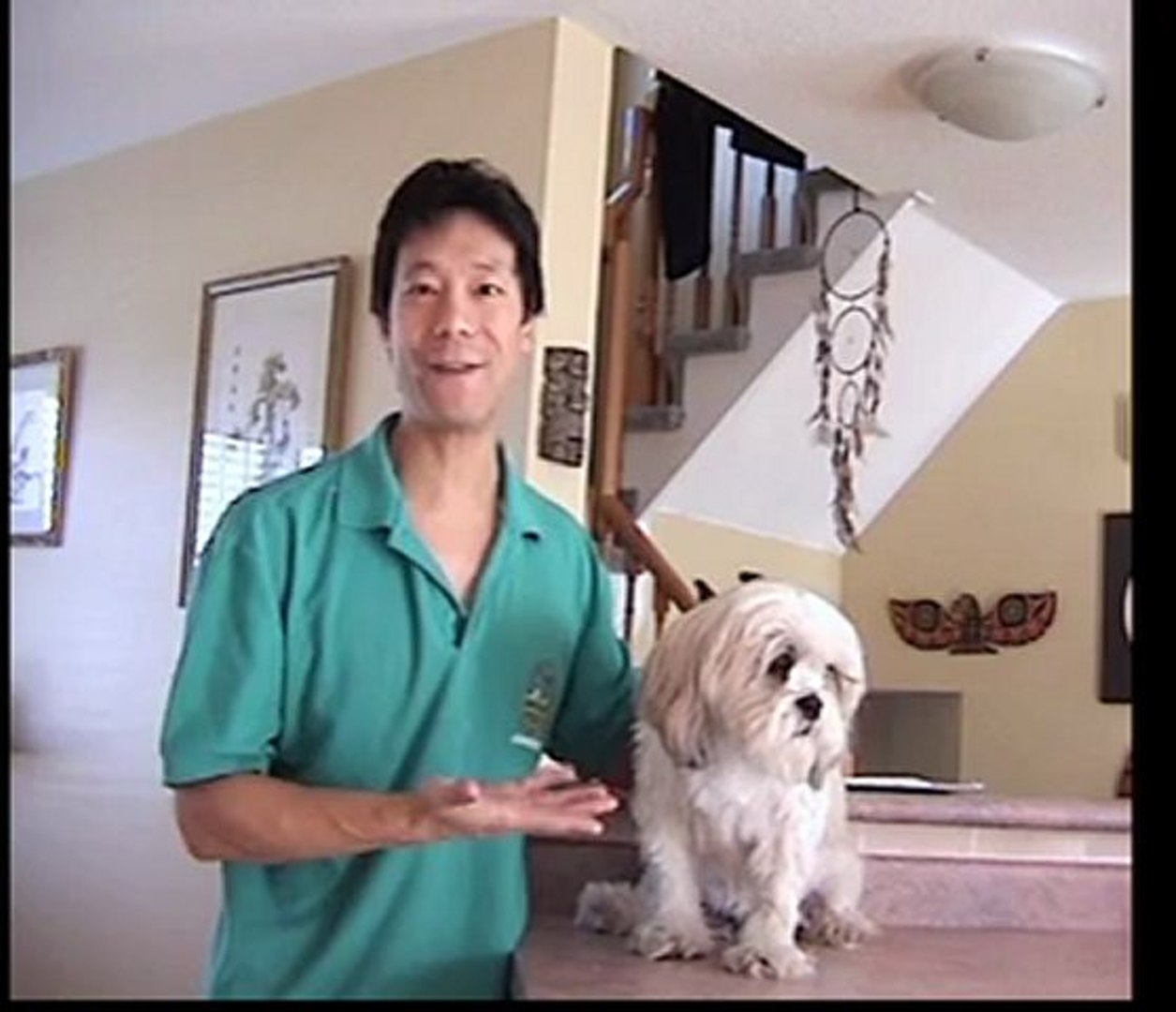 ⁣How To Save Money On Dog Grooming