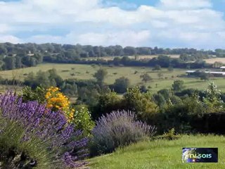 Laure Danjou – TV-Sois-Italia News – Luglio 2012