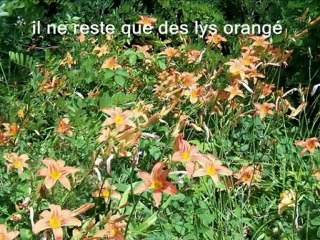 St Baudille au Pays de Bièvre juin 2007