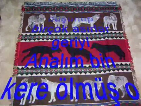 Kurtbaşlı sancak elde toy edenler ulusun! Gökbörü'nün izinde Tanrı Türk'ü korusun!