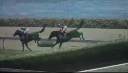 Breder's Cup Classic 2012