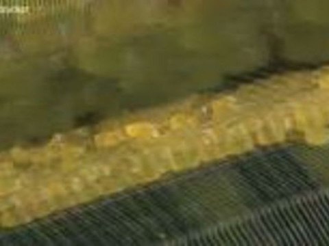 Aktie im Fokus: Südzucker klettern kräftig nach Hochstufung