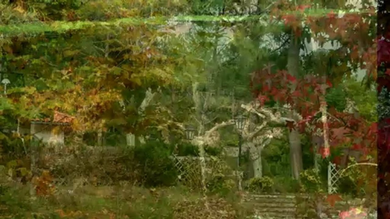 le lac de Mimizan-Aureilhan 2012-11-20