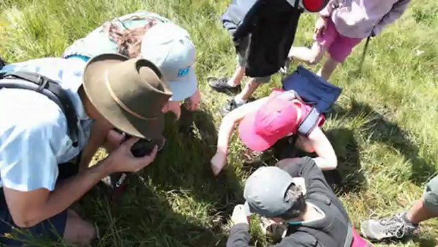 Colonie de vacances volcanisme