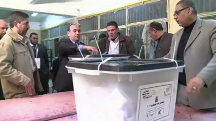 تواصل فرز نتائج المرحلة الاولى من الاستفتاء على دستور مصر