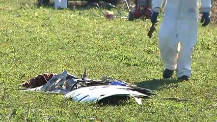 bonifica e rilievi il giorno dopo a morgan