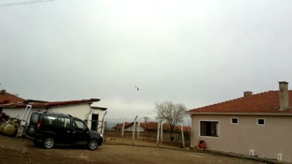 dumanlıkirli dişi antreman 2