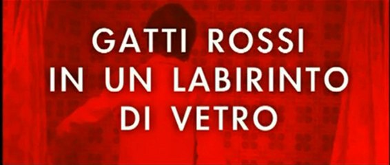 Gatti Rossi in un Labirinto di Vetro - Umberto Lenzi