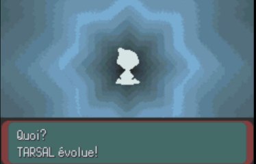 (WT) Pokémon Version Emeraude [07] : La Diététique c'est Cool , Parecool