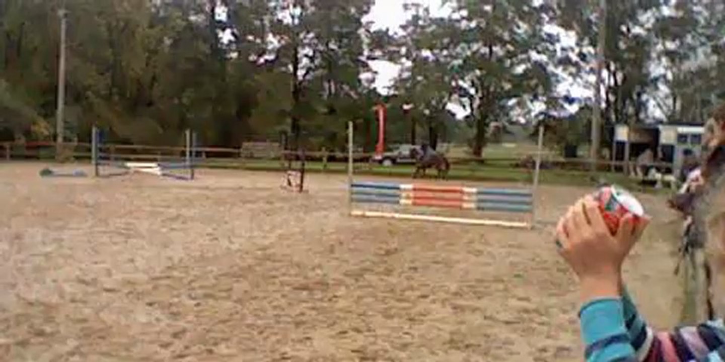 Concours équitation