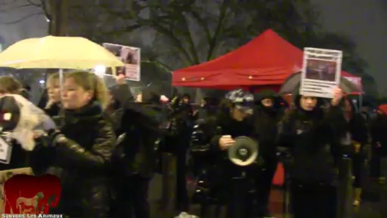 Rassemblement contre les cirques avec animaux (15.12.2012)