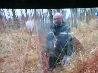 La forêt de Compiègne et sa vénerie (Extrait du J.T de TF1)