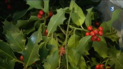 Maison des forêts : ateliers du week-end