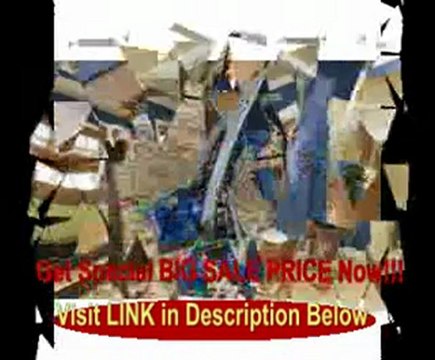 BISSELL PROdry Fast-Drying Carpet Cleaner, 7350