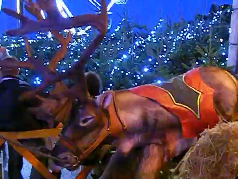 Noël 2012 Monaco 022