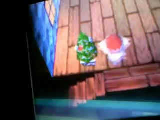 Animal Crossing DS : Ma nouvelle maison.